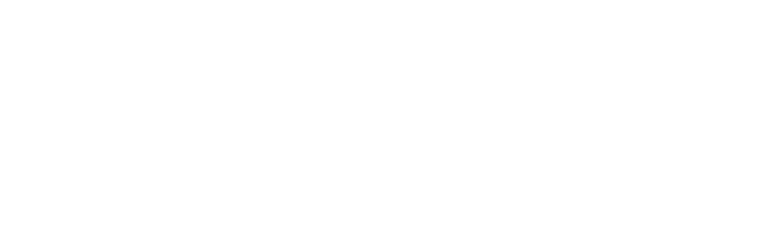 WebDistrict021 - Logo White